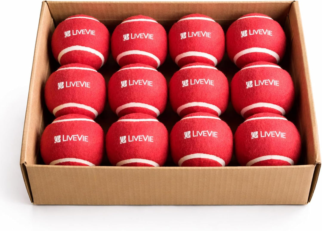 LIVEVIE Professional Cricket Tennis Balls, 2.5 Inch, Training