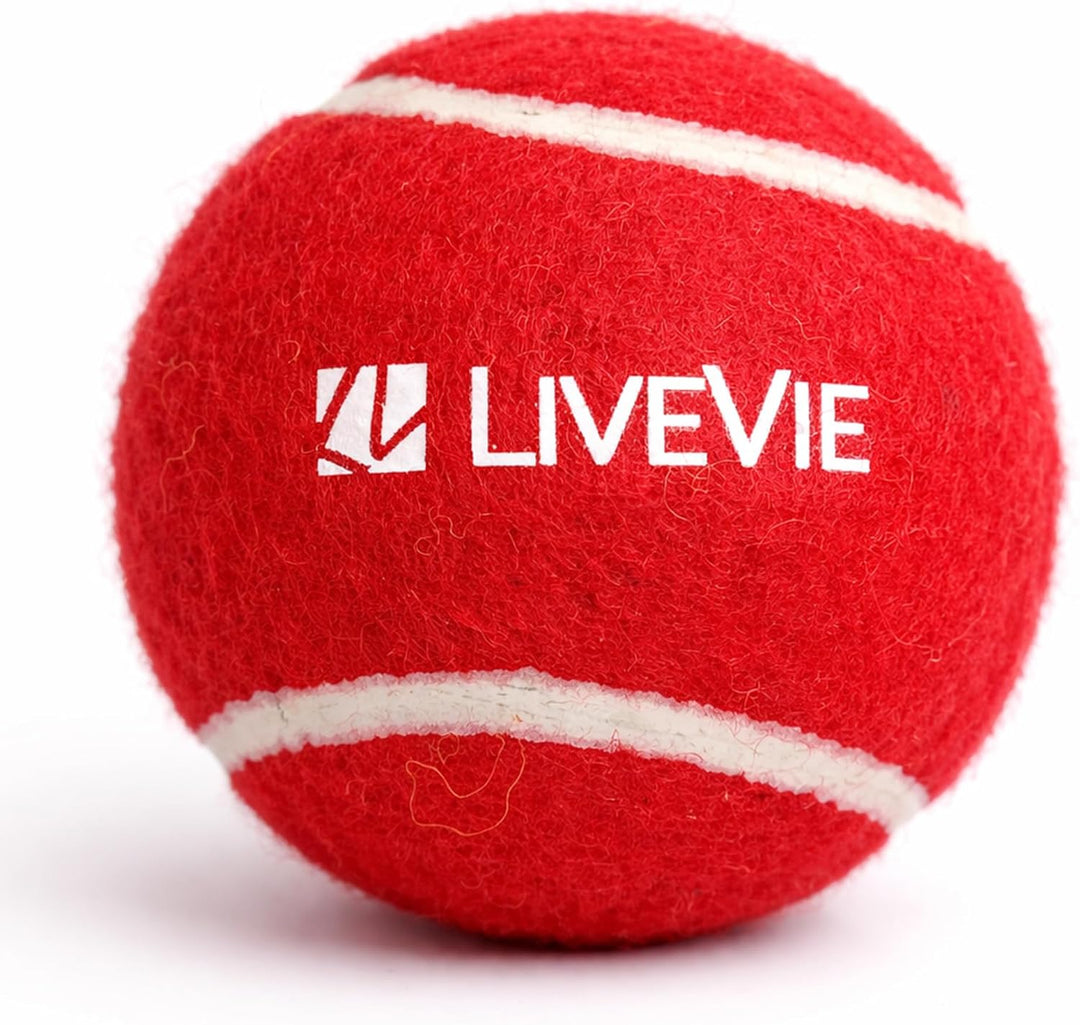 LIVEVIE Professional Cricket Tennis Balls, 2.5 Inch, Training