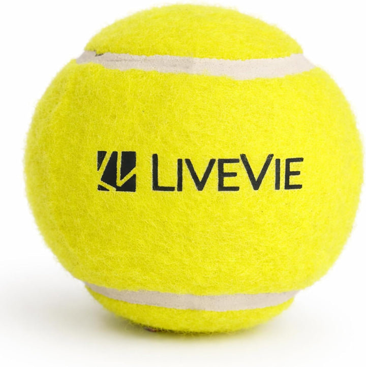 LIVEVIE Professional Cricket Tennis Balls, 2.5 Inch, Training