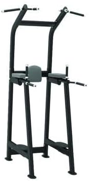 Premium Signature Series Dip/Chin/Leg Raise Equipment, Durable Construction, Dual Grip Options, Comfortable Cushioning - Ideal for Home Gyms and Fitness Centers