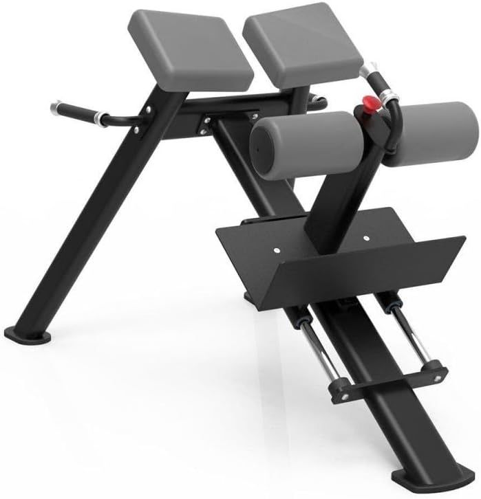 Signature Series 45 Degrees Back Extension, Durable, Comfortable, and Adjustable Workout Bench with High-Resilience Cushion, Robust 3mm Flat Oval Tubing Frame