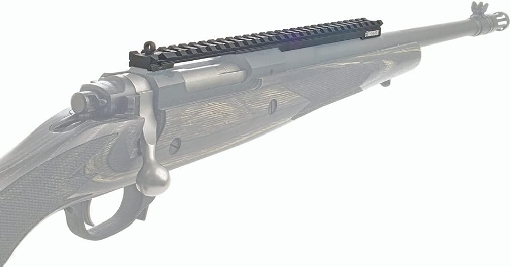 XS Sights Long Rail with Ghost Ring for The Ruger Gunsite Scout Rifle, Rear Peep Sight, Optic Mount