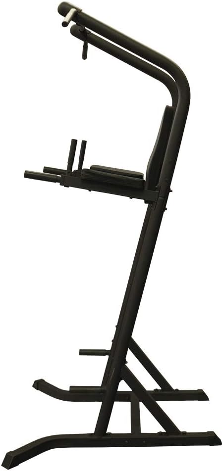Amber Fight Gear Multi Station Space Saver VKR Power Workout TowerWorkout Dip Station Pull Up Push Up for Home or Office Gym Strength Training Fitness Equipment