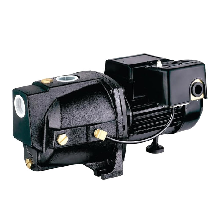 Leo Pump Shallow Well Pump Reliable Cast Iron Construction, Automatic Overload Protection, Dual Voltage Motor, 3/4HP 115V/230V/60HZ