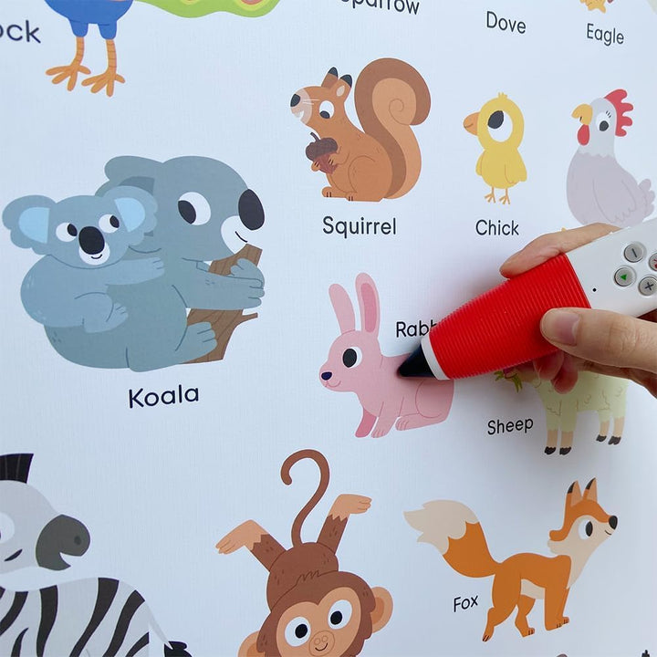 Hattung Interactive Sound Pen for Child, Educational Toy for Early learning and Language Development