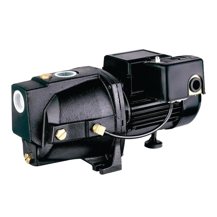 LIVEVIE Leo Pump Shallow Well Pump Reliable Cast Iron Construction, Automatic Overload Protection, Dual Voltage Motor, 1/2HP 115V/230V/60HZ, UJM50-1