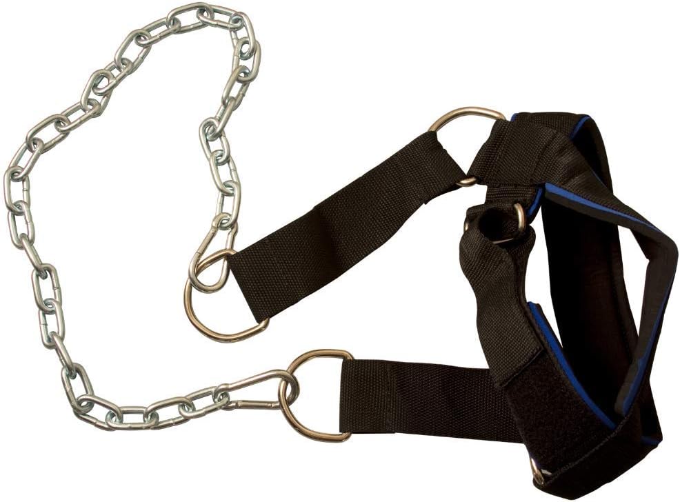 Body-Solid Nylon Weightlifting Head Harness
