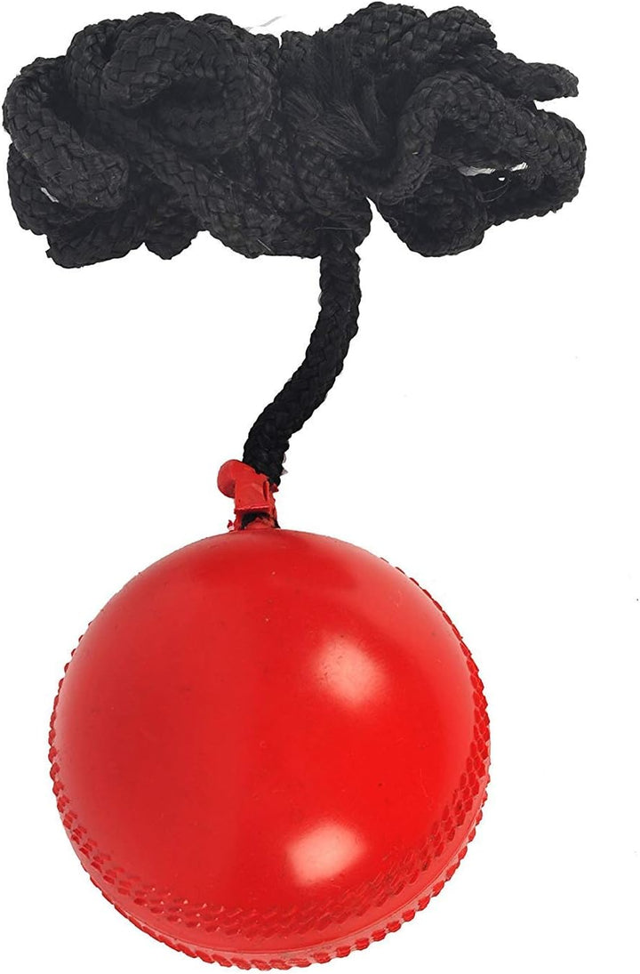 SG Synthetic I Cricket Hanging Ball with Cord, PVC Batting Practice Ball