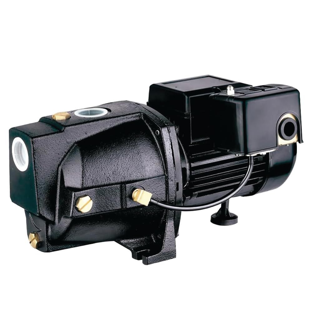 Leo Pump Shallow Well Pump Reliable Cast Iron Construction, Automatic Overload Protection, Dual Voltage Motor, 1HP 115V/230V/60HZ
