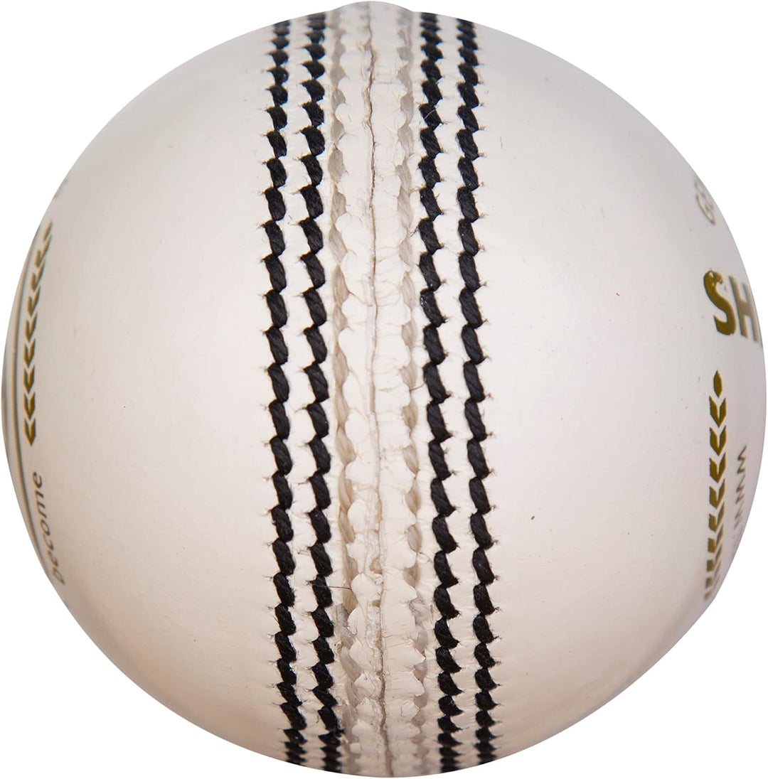 SG Cricket Shield 20 Premium Leather Ball (White Color)