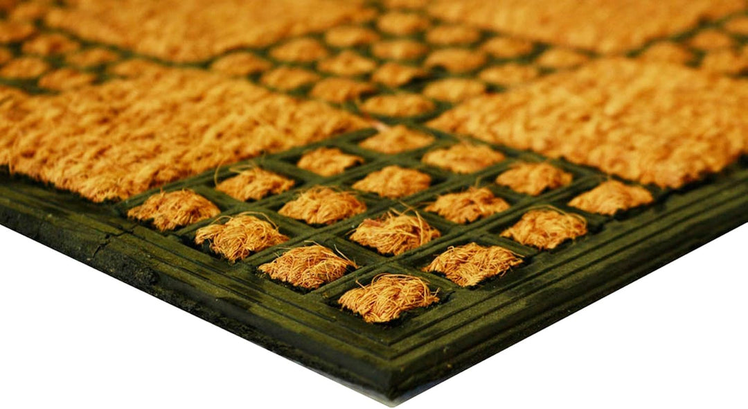 LIVEVIE Masterstroke Front Door Mat, Stylish Low-Profile Doormat for Indoor/Outdoor Entrance, Welcome Mat