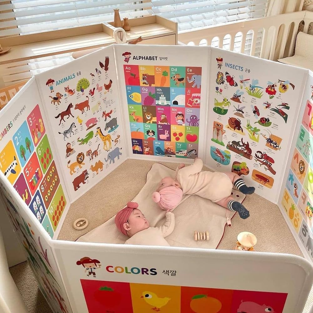 Hattung SayHouse Combo Pack Interactive Learning Set with Magnetic Alphabet, Flashcards, Talking Pen &amp; Foldable Board ? Educational Toy for Kids&
