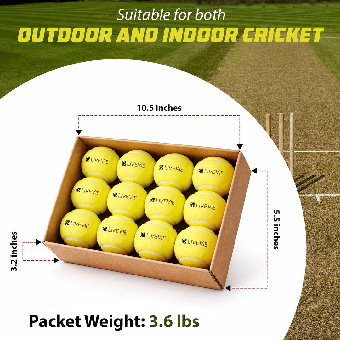 LIVEVIE Professional Cricket Tennis Balls, 2.5 Inch, Training