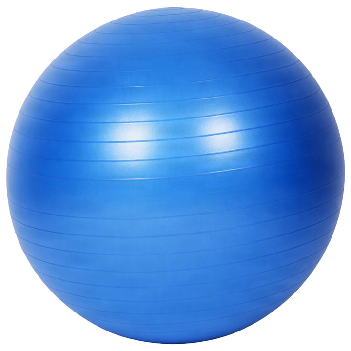 Amber Fight Gear Fitness Ball with Strap Anti-Burst Exercise Ball, 55-75cm