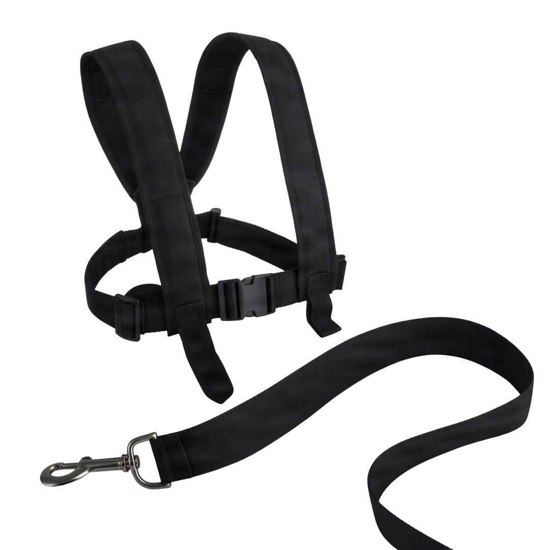 Amber Sporting Goods Agility Harness