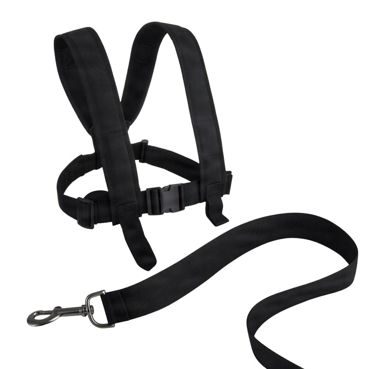 Amber Sporting Goods Agility Harness