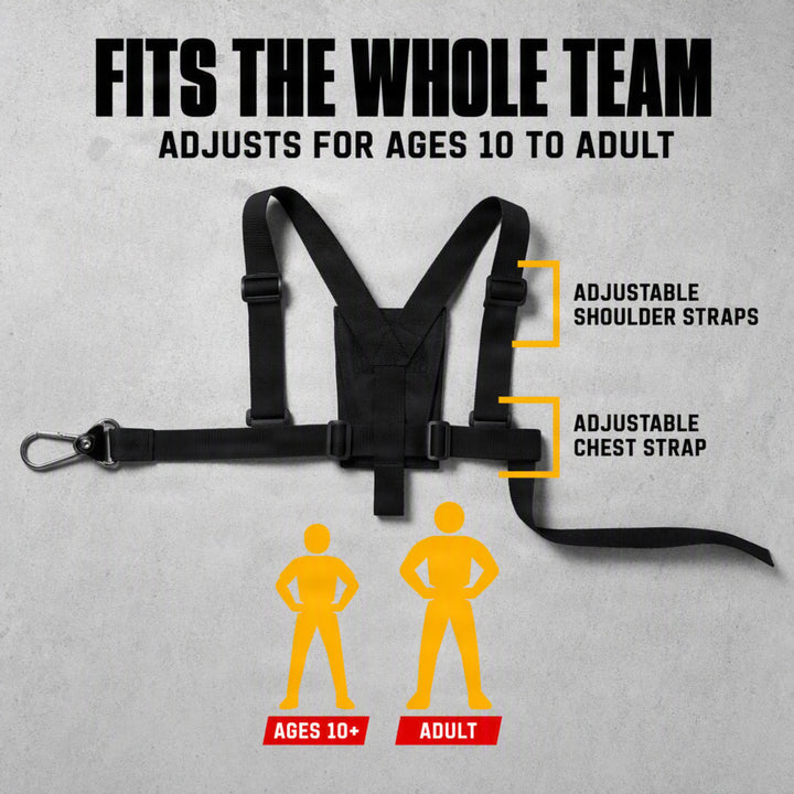 Amber Sporting Goods Agility Harness
