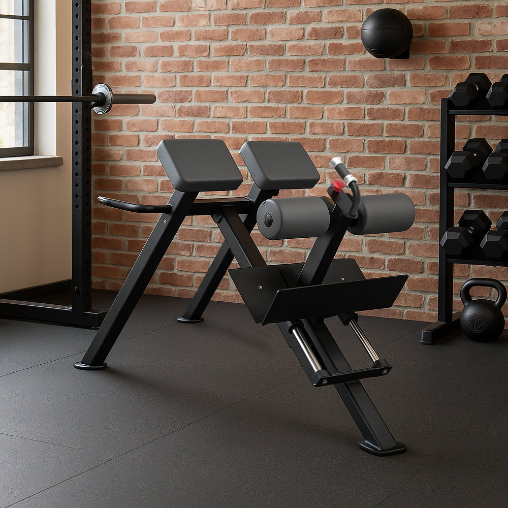 Signature Series 45 Degrees Back Extension, Durable, Comfortable, and Adjustable Workout Bench with High-Resilience Cushion, Robust 3mm Flat Oval Tubing Frame