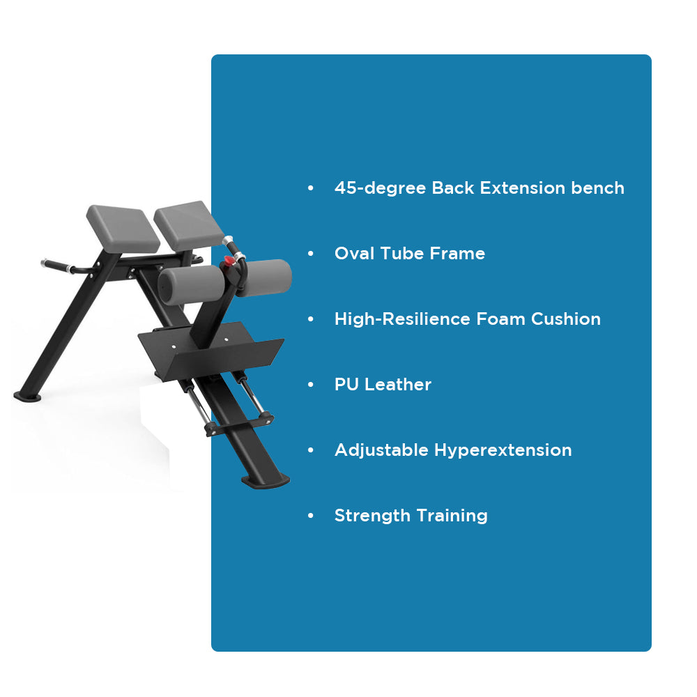 Signature Series 45 Degrees Back Extension, Durable, Comfortable, and Adjustable Workout Bench with High-Resilience Cushion, Robust 3mm Flat Oval Tubing Frame