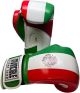Boxing gloves with Mexican flag design by Invincible Fight Gear