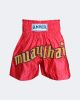 Muay Thai Shorts Red w/Black Stripes & Gold English Letters Youth Large
