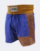 Blue w/Gold outlines Kickboxing Shorts- Small