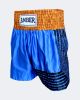 Blue w/Gold outlines and Black Stripes Kickboxing Shorts Youth Large